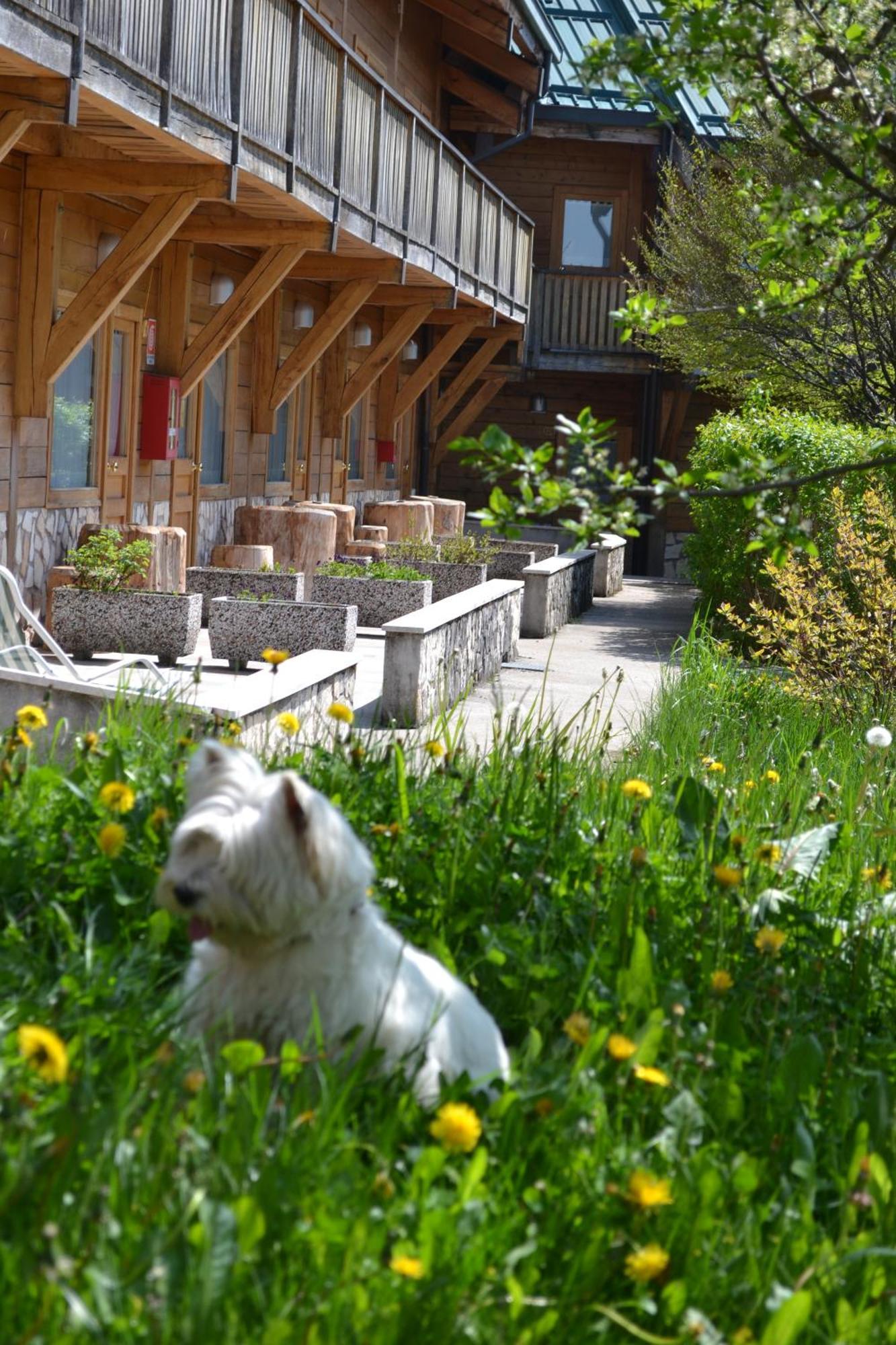Albergo Rendola Asiago Buitenkant foto